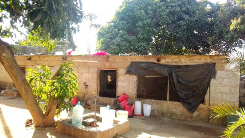 house-for-sale-in-minestrone-chainama-area-big-1