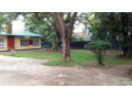 4-bedroom-house-for-rent-in-rhodes-park-small-6