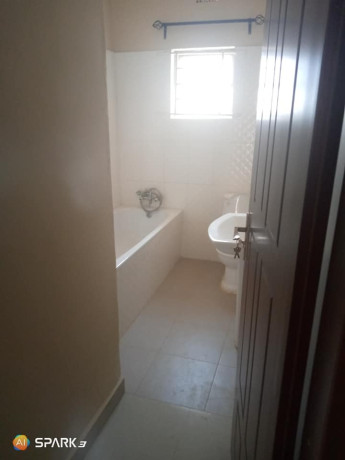 beautiful-3-bedroom-house-for-rent-in-libala-south-big-4