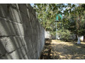 house-for-sale-in-olympia-small-3