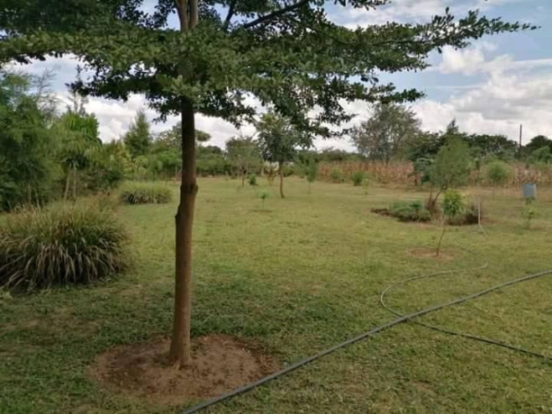 3-bedroom-property-with-25-acres-of-land-big-3