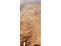 plot-for-sale-in-nyumba-yanga-small-1