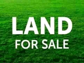 Plots for Sale in New Kasama and Chalala