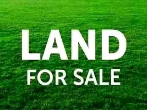 plots-for-sale-in-new-kasama-and-chalala-big-0