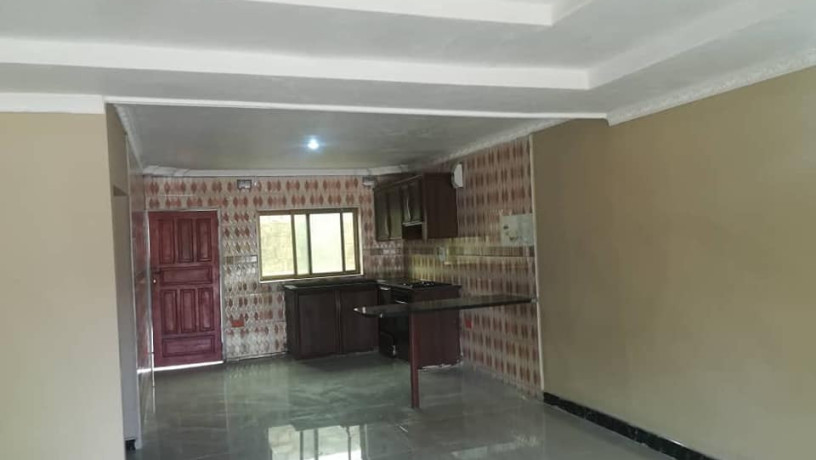 executive-2-bedroomed-semidetached-flat-in-makeni-big-3