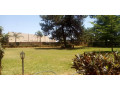 spacious-3-bedroom-duplex-flat-in-avondale-small-0