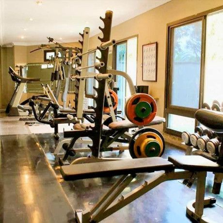 fully-furnished-executive-3-bedroom-apartment-big-8