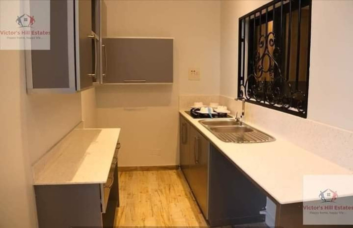 luxury-3-bedroom-home-in-olympia-big-4