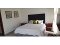 executive-three-bedroomed-fully-furnished-apartment-in-roma-park-small-2