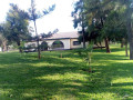 beautiful-4-bedroom-house-for-rent-in-lusaka-small-3