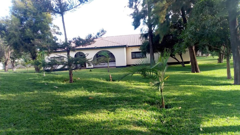 beautiful-4-bedroom-house-for-rent-in-lusaka-big-3