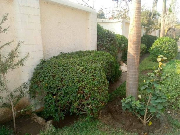 executive-3-bedroom-house-for-rent-in-makeni-bonaventure-big-3