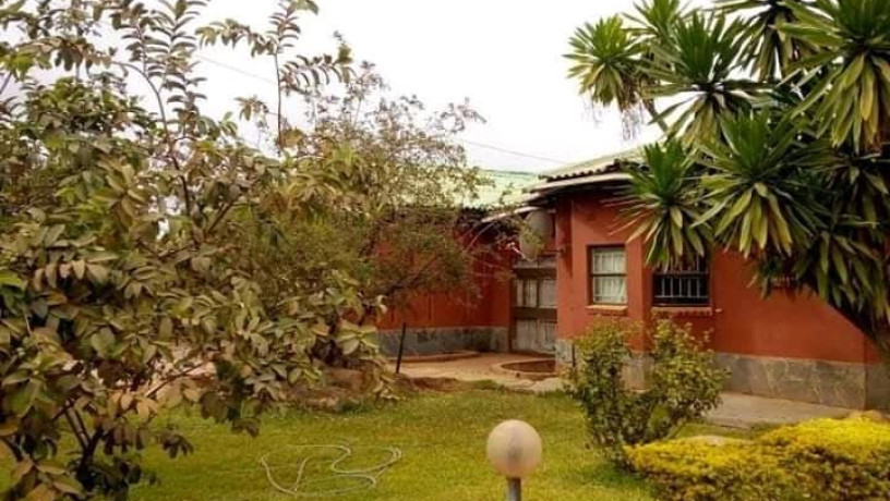 standalone-house-for-rent-in-chalala-lusaka-big-2