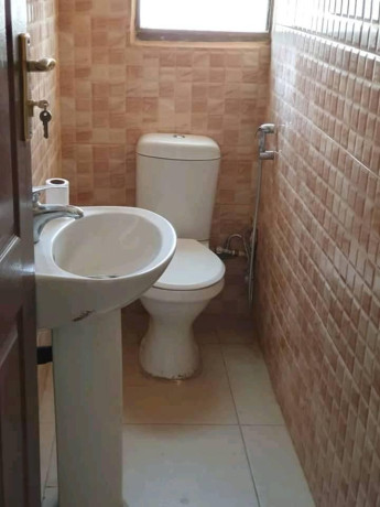 executive-modernised-3-bedroom-house-for-sale-big-2