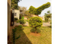 house-for-sale-in-woodlands-extension-small-4