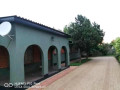 spacious-3-bedroom-house-for-sale-in-chalala-small-4