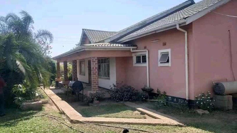 executive-4-bedroom-standalone-house-for-sale-big-6