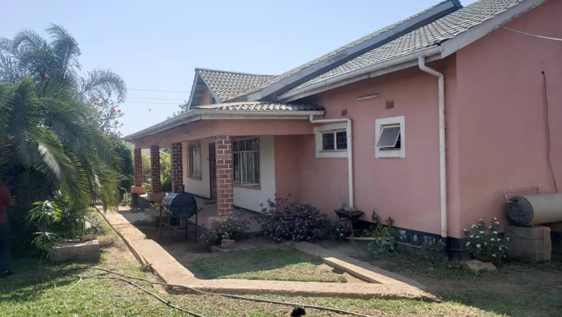 3-bedroom-house-for-sale-in-meanwood-mutumbi-phase-one-big-5