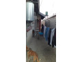 chalala-house-for-sale-small-3