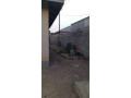 chalala-house-for-sale-small-2