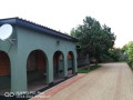 spacious-3-bedroom-house-for-sale-in-chalala-small-3