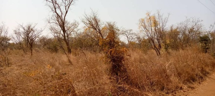 2-acres-of-land-for-sale-in-new-kasama-big-1