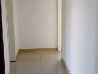 Executive 2 Bedroom MSC Flat