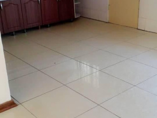 Beautiful 3 Bedroom MSC Flat near American Embassy