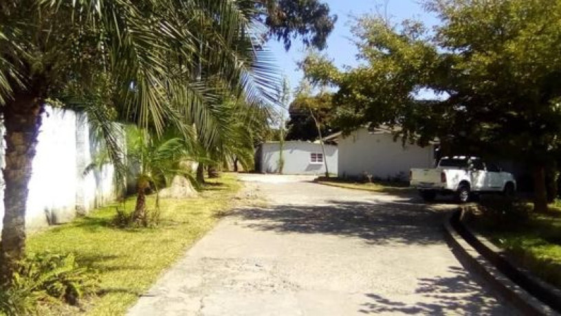 beautiful-4-bedroom-standalone-house-in-north-mead-big-4