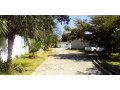 beautiful-4-bedroom-standalone-house-in-north-mead-small-4