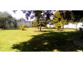 beautiful-4-bedroom-standalone-house-in-north-mead-small-5