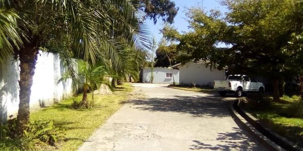 beautiful-4-bedroom-standalone-house-in-north-mead-big-4