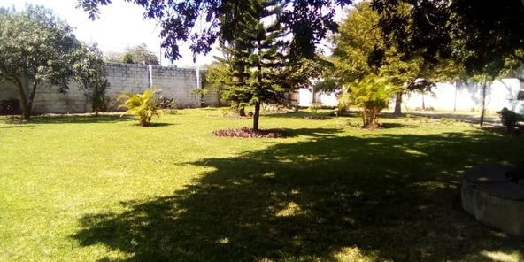 beautiful-4-bedroom-standalone-house-in-north-mead-big-5