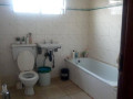 avondale-house-for-rent-small-0