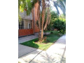 executive-3-bedroomed-high-rise-flat-for-rent-in-rhodes-park-small-8