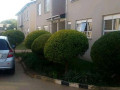 spacious-3-bedroom-duplex-flat-in-avondale-small-4