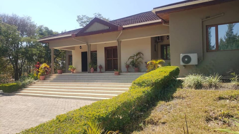 executive-3-bedroom-stand-alone-villa-for-rent-in-new-kasama-big-7