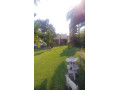furnished-one-bedroom-apartment-for-rent-in-roma-small-6