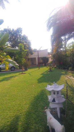 furnished-one-bedroom-apartment-for-rent-in-roma-big-6