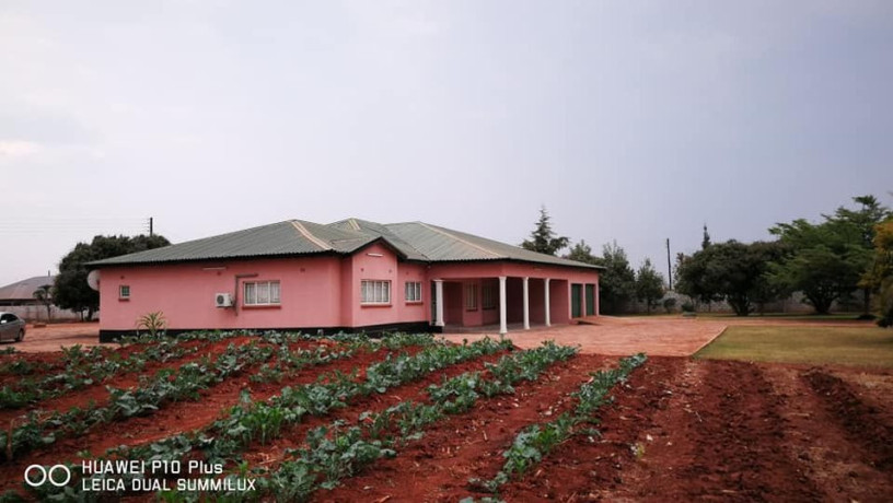 5-bedroom-farm-house-with-land-big-8