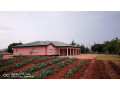 5-bedroom-farm-house-with-land-small-8