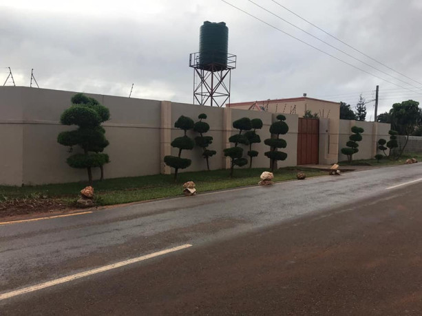 executive-two-bedroom-flat-for-rent-in-woodland-chalala-big-7