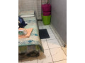 flat-mate-wanted-small-3
