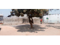 house-for-sale-at-kabanana-market-small-5