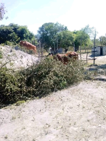 farm-for-sale-in-kapiri-big-0