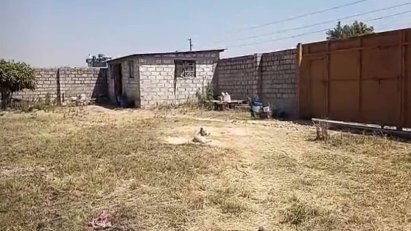 2-acre-fenced-plot-for-sale-big-4