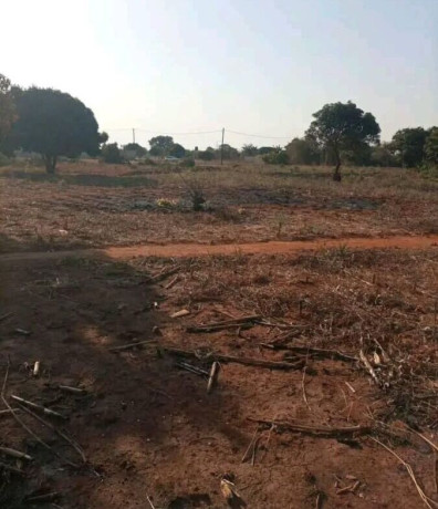 plot-for-sale-in-lilayi-big-1