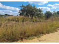 plot-for-sale-in-vorna-valley-small-0