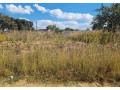 plot-for-sale-in-vorna-valley-small-2