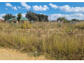 plot-for-sale-in-vorna-valley-small-1